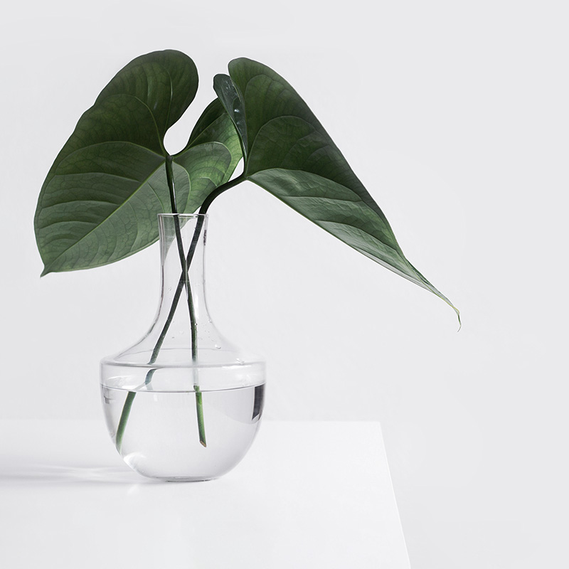 Product-10-gallery-img-2