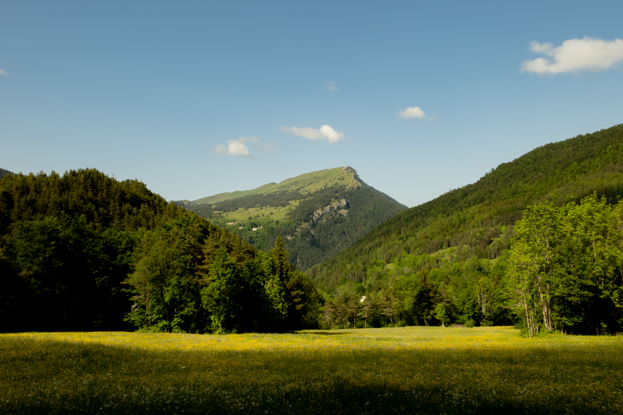 mont-aiguille_©Elsana_IMG_4850_1